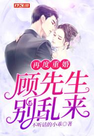 再度重婚顾先生别乱来封面