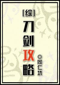 刀剑攻略[综]封面