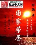 国家荣誉封面