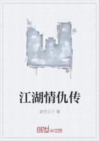 江湖情仇传封面