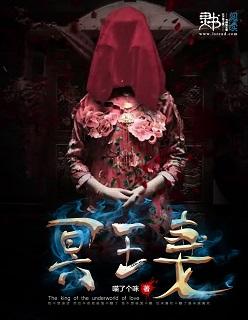 冥王妻封面