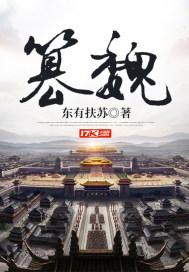篡魏封面