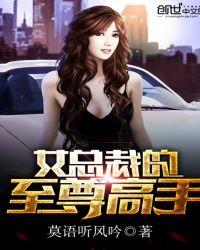 女总裁的至尊高手封面