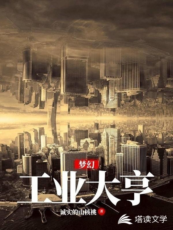 梦幻工业大亨封面