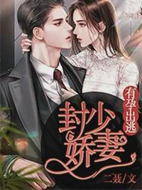 封晏唐柒柒全文封面