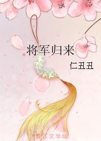 将军归来封面