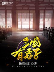 三国有君子封面