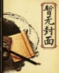 灰色国度封面
