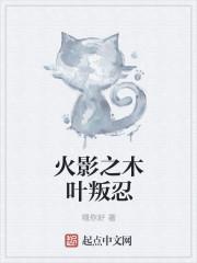 火影之木叶叛忍封面