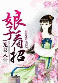 宠妻入骨：娘子看招封面