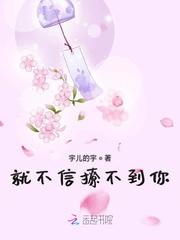 宠她入怀封面