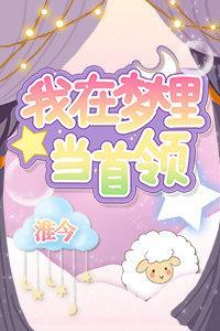 我在梦里当首领封面