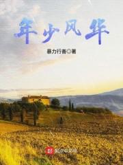 年少风华封面