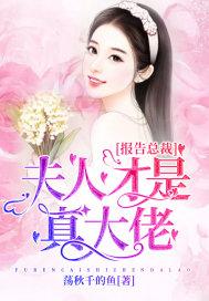 报告总裁：夫人才是真大佬封面