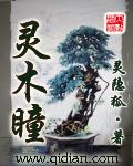灵木瞳封面