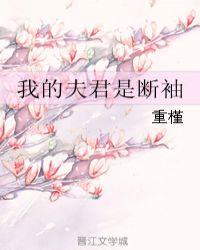 我的夫君是断袖封面