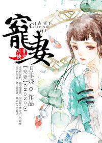 宠妻封面