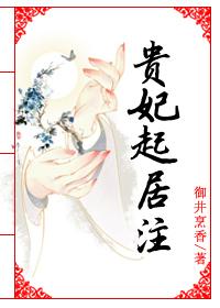 贵妃起居注封面