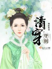 清穿守则封面