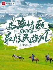 从西海情歌开始的最炫民族风封面