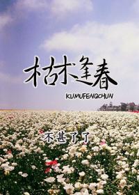 枯木逢春封面