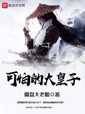 可怕的大皇子封面