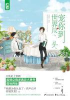 宠你到世界尽头封面