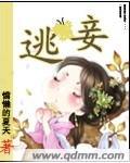 逃妾封面