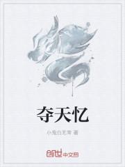 夏晚晚封面