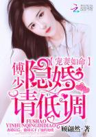 傅庭渊洛南初隐婚请低调封面