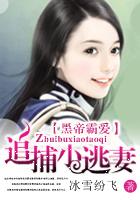 黑帝霸爱：追捕小逃妻封面