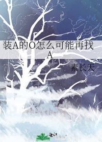 装A的O怎么可能再找A封面