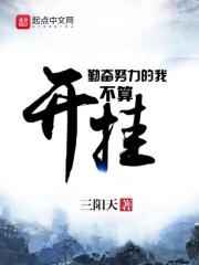 勤奋努力的我不算开挂封面