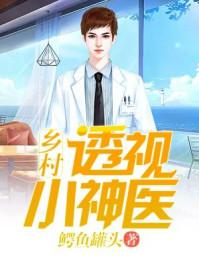 乡村透视小神医封面