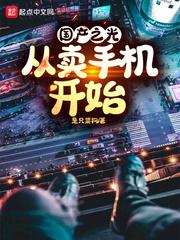 国产之光:从卖手机开始封面