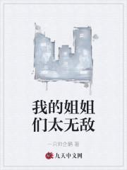 我的姐姐们太无敌封面