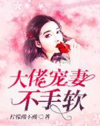 大佬宠妻不手软封面