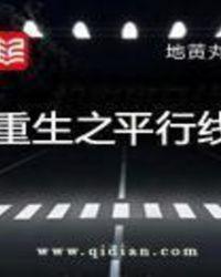 重生之平行线封面