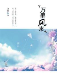 丹霄万里封面