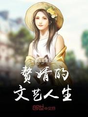 赘婿的文艺人生封面