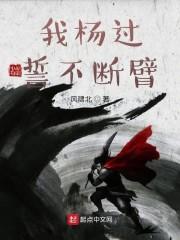 我杨过誓不断臂封面