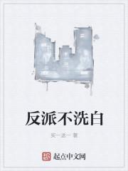 反派不洗白封面