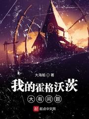 我的霍格沃茨大有问题封面