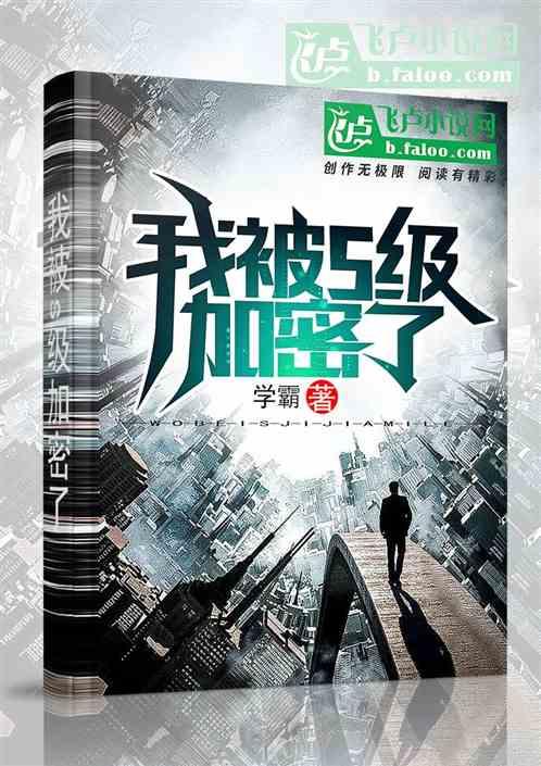 我被s级加密了封面