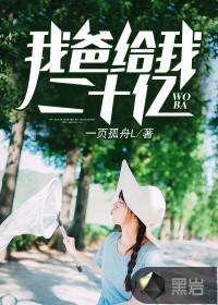 最后一个继承人封面