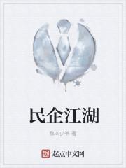 民企江湖封面
