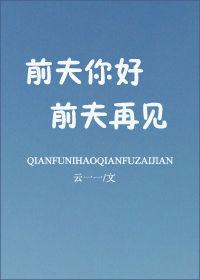 前夫你好，前夫再见封面