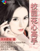 校园护花高手封面