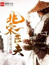 北宋一匹夫封面