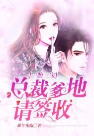 一胎三宝:总裁爹地请签收封面